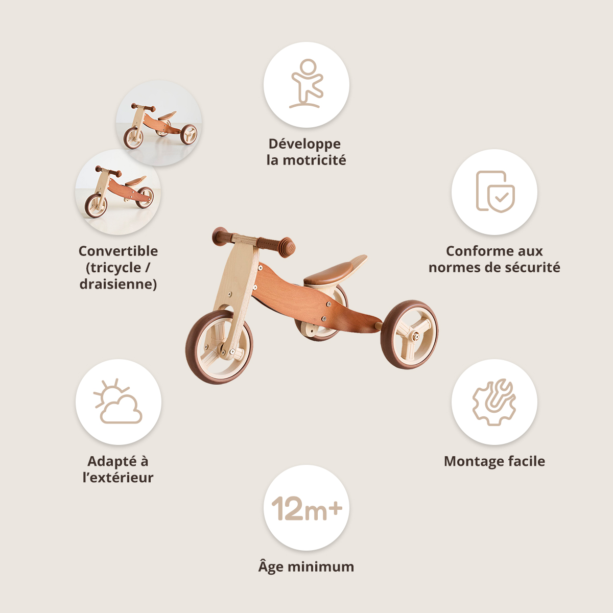 Petite Amélie | Tricycle draisienne évolutif en bois certifié FSC | Noyer | Structure robuste pour enfant (Petite Amélie) - Image 2